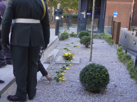 A yellow rose being laid in the memorial garden