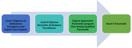 A graphic shows the progression from Assistant Ambulance Practitioner (AAP) to a Band 6 Paramedic. The first arrow reads that after completing the nine month AAP programme, a Level 3 Diploma in Ambulance Emergency Care and Urgent Care Support is awarded. The second arrow shows that after completing the 14 month Trainee Emergency Ambulance Crew Upskill Apprenticeship programme, a Level 4 Diploma Associate Ambulance Practitioner is awarded. The third arrow shows that after completing the two year Degree Apprenticeship Paramedic Programme to qualify as a Newly Qualified Paramedic you can then progress to the last arrow of becoming a band 6 Paramedic.